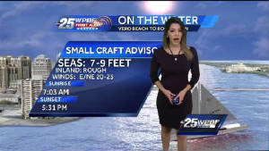 VanessaPalmerBlas/abc25wpbf.jpg