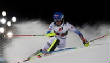 VanessaPalmerBlas/alpineskier.jpg