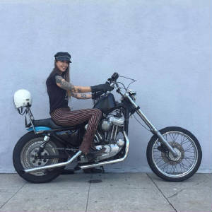 VanessaPalmerBlas/americanchopper.jpg