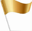 VanessaPalmerBlas/goldflag.jpg