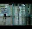 VanessaPalmerBlas/manhattanislandprison.jpg