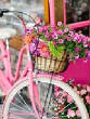VanessaPalmerBlas/pinkbasketonbike.jpg