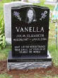 VanessaPalmerBlas/vanella.jpg