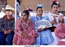 VanessaPalmerBlas/battleofpuebla.jpg