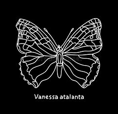 VanessaPalmerBlas/blackandwhite.jpg