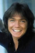 VanessaPalmerBlas/davidcassidy.jpg