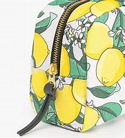 VanessaPalmerBlas/fashionclutchbag.jpg