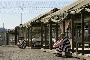 VanessaPalmerBlas/jailbirds.jpg