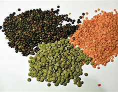 VanessaPalmerBlas/lentils.jpg