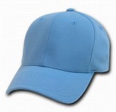 VanessaPalmerBlas/lightbluehat4.jpg