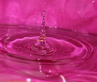 VanessaPalmerBlas/pinkwater.jpg