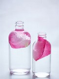 VanessaPalmerBlas/rosewater.jpg