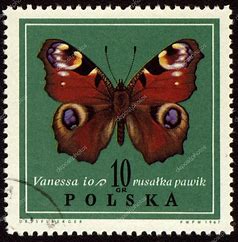 VanessaPalmerBlas/stamp.jpg