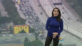 VanessaPalmerBlas/traffic.jpg