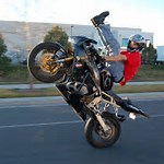 VanessaPalmerBlas/wheelie.jpg