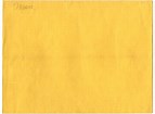 VanessaPalmerBlas/yellowmanilaenvelope.jpg